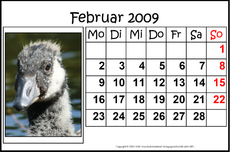 2-Februar-2009-quer.jpg